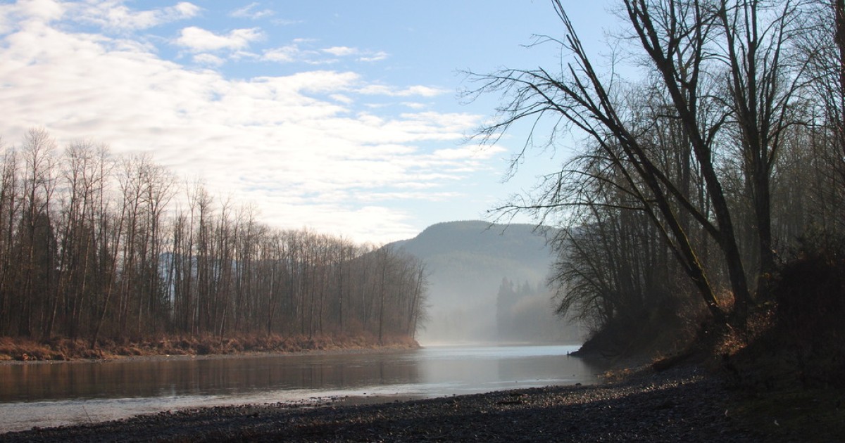 Good Crops, Good Credit How a Northwest Land Trust Sustains Farmland With Capital